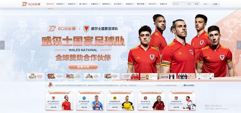 B杏彩体育 - 德甲多特蒙德官方合作伙伴 2 B杏彩体育简介